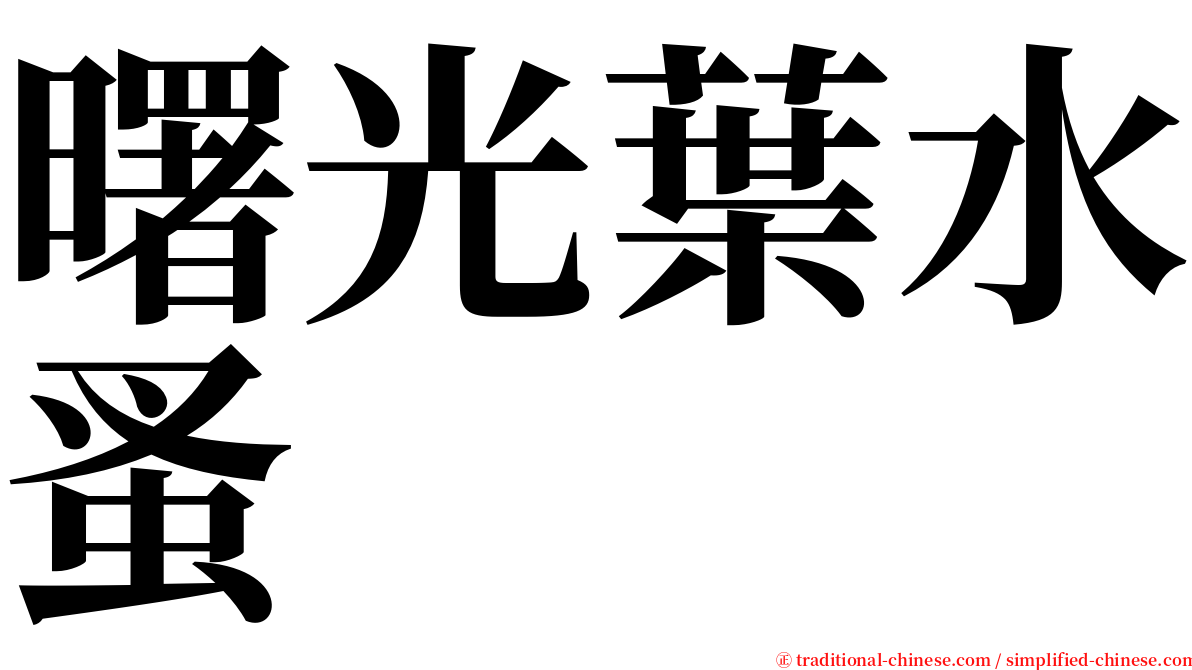 曙光葉水蚤 serif font