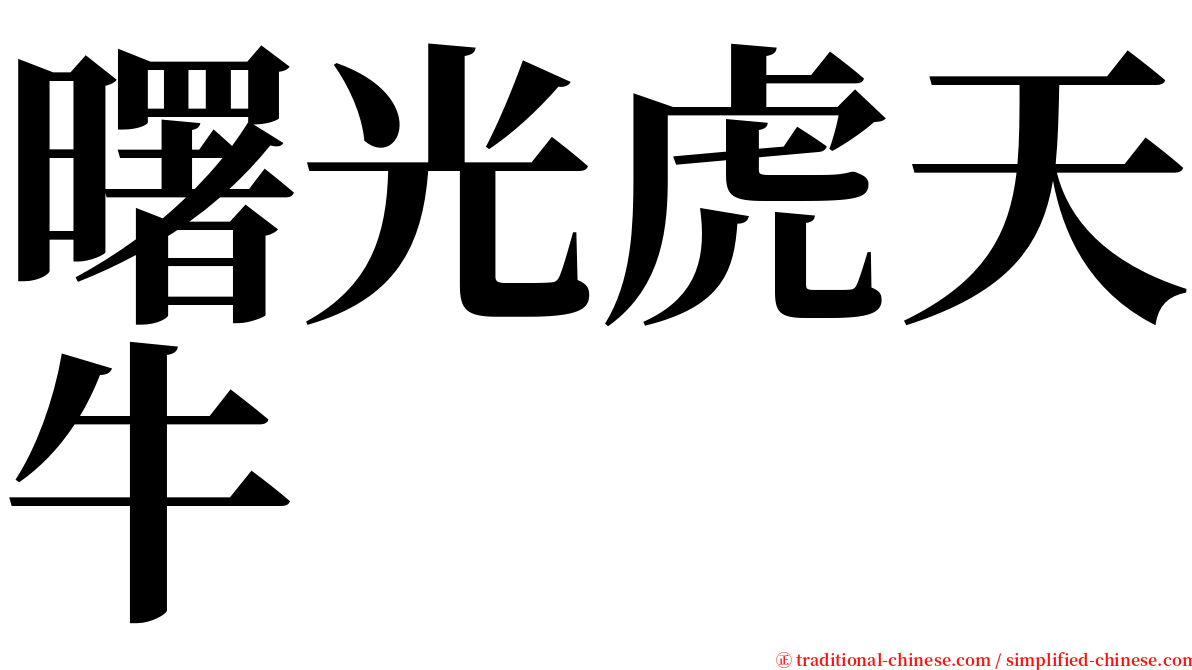 曙光虎天牛 serif font