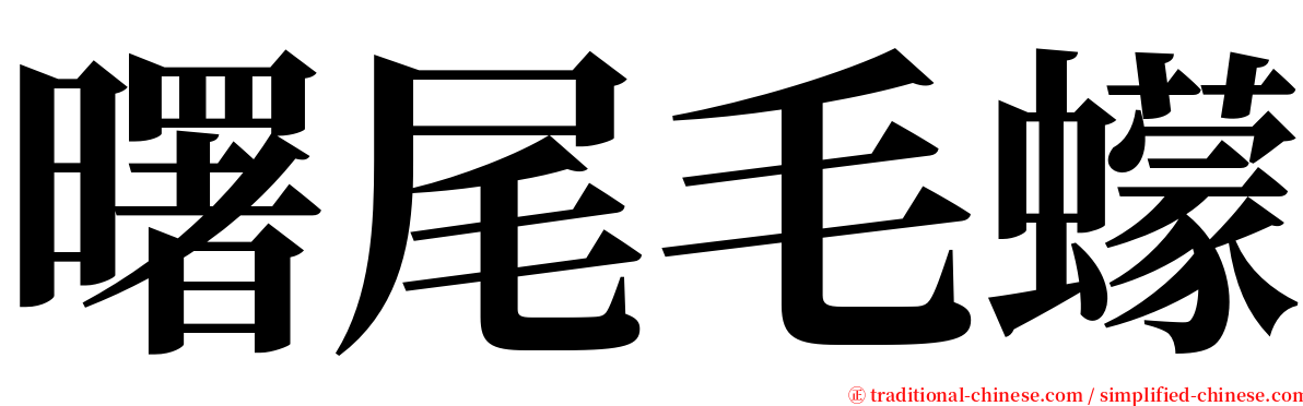 曙尾毛蠓 serif font