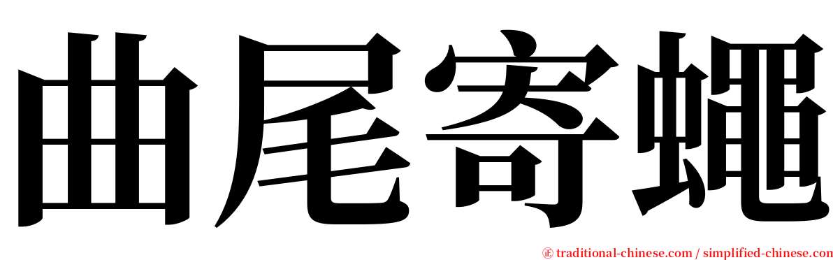 曲尾寄蠅 serif font