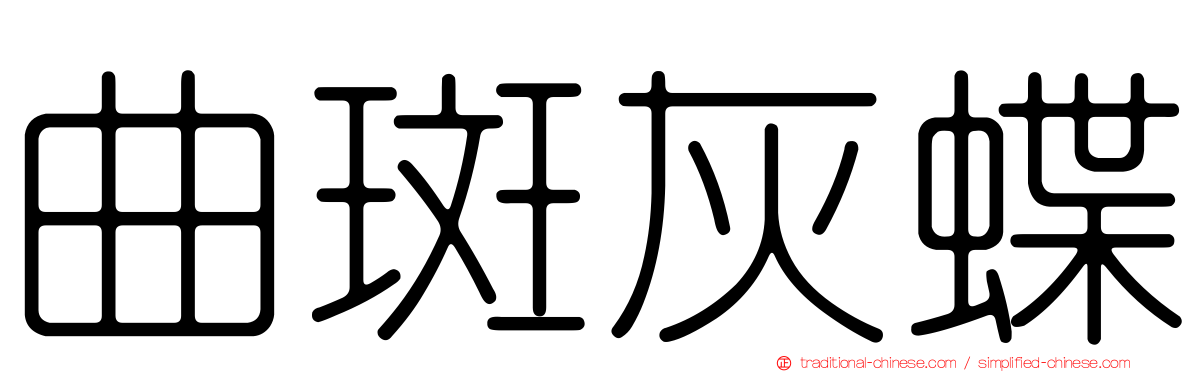 曲斑灰蝶