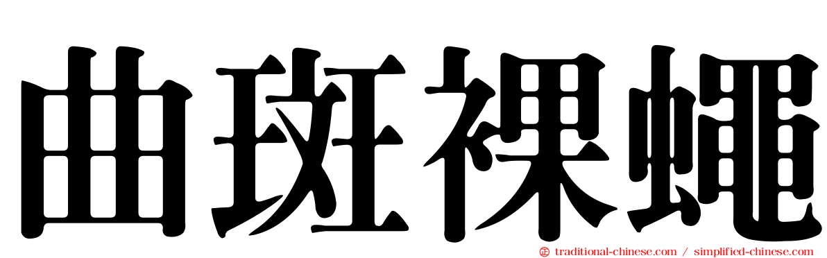 曲斑裸蠅