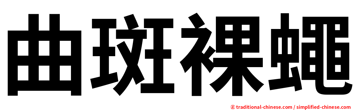 曲斑裸蠅