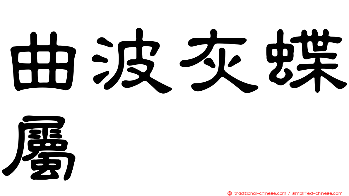 曲波灰蝶屬