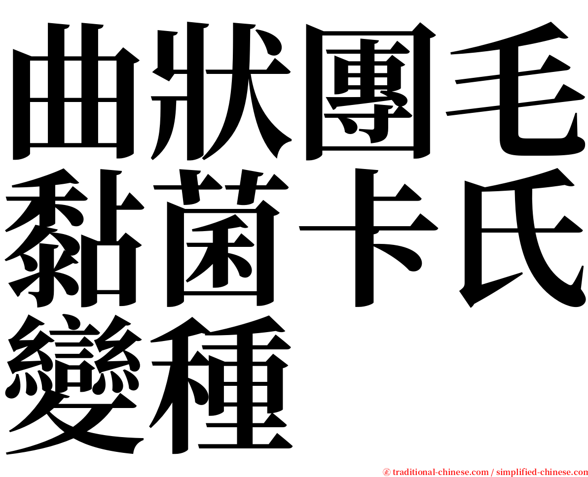 曲狀團毛黏菌卡氏變種 serif font