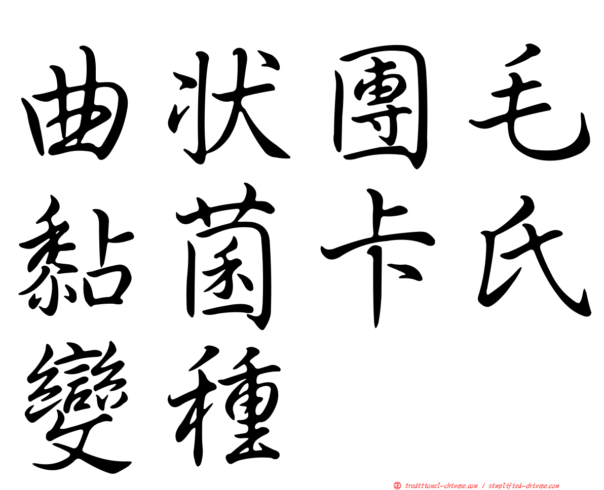 曲狀團毛黏菌卡氏變種