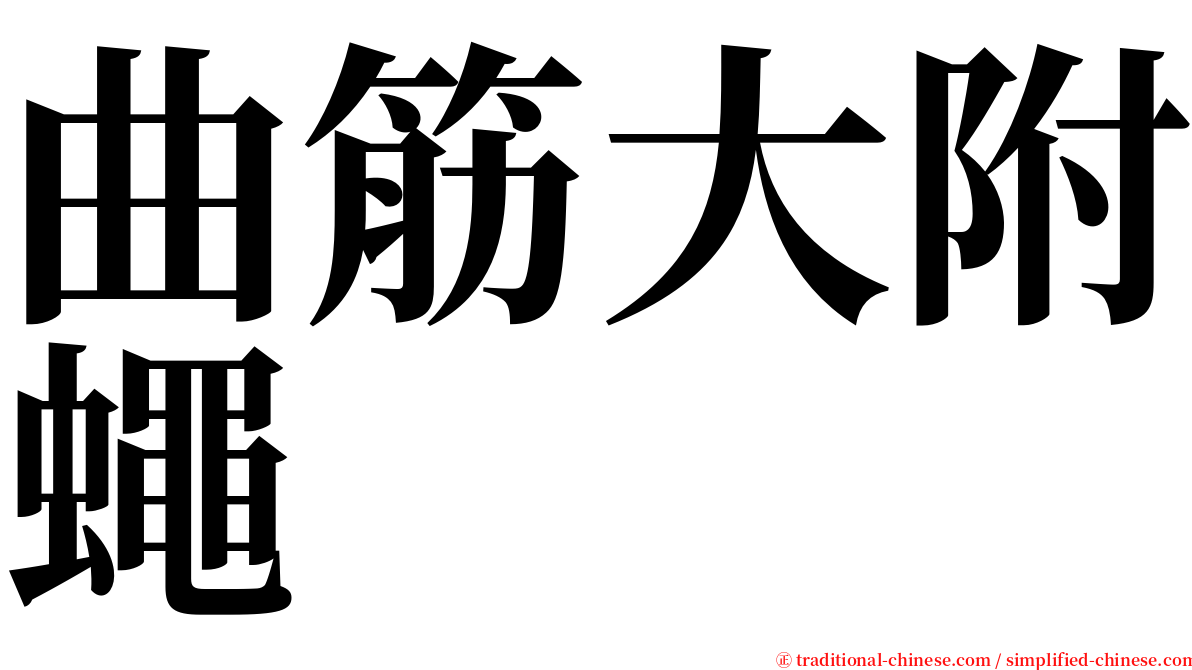 曲筋大附蠅 serif font