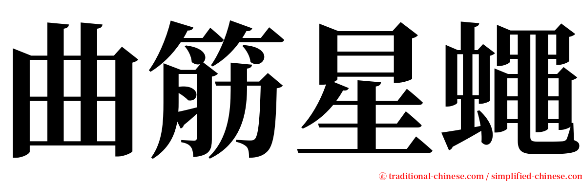 曲筋星蠅 serif font