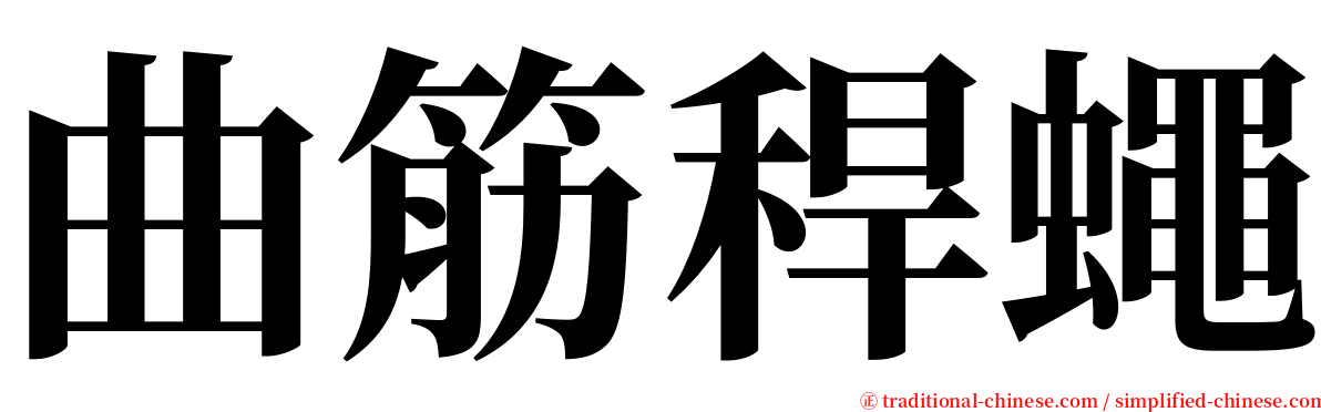 曲筋稈蠅 serif font