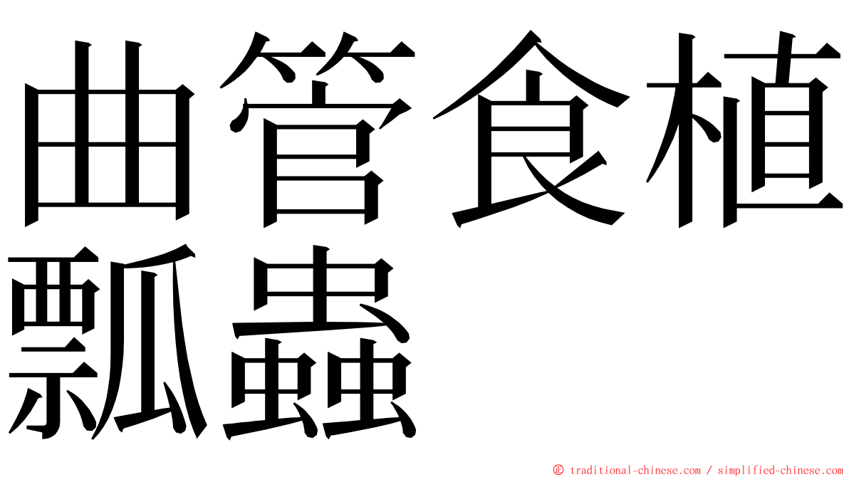 曲管食植瓢蟲 ming font