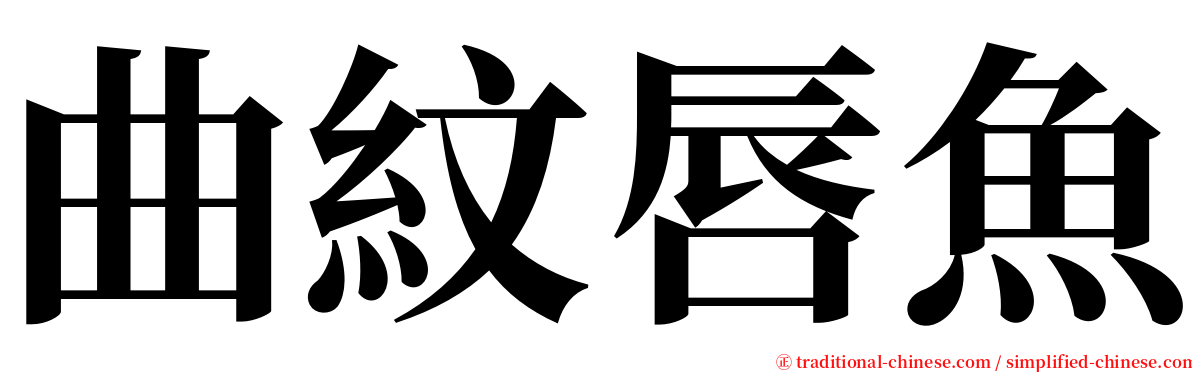 曲紋唇魚 serif font