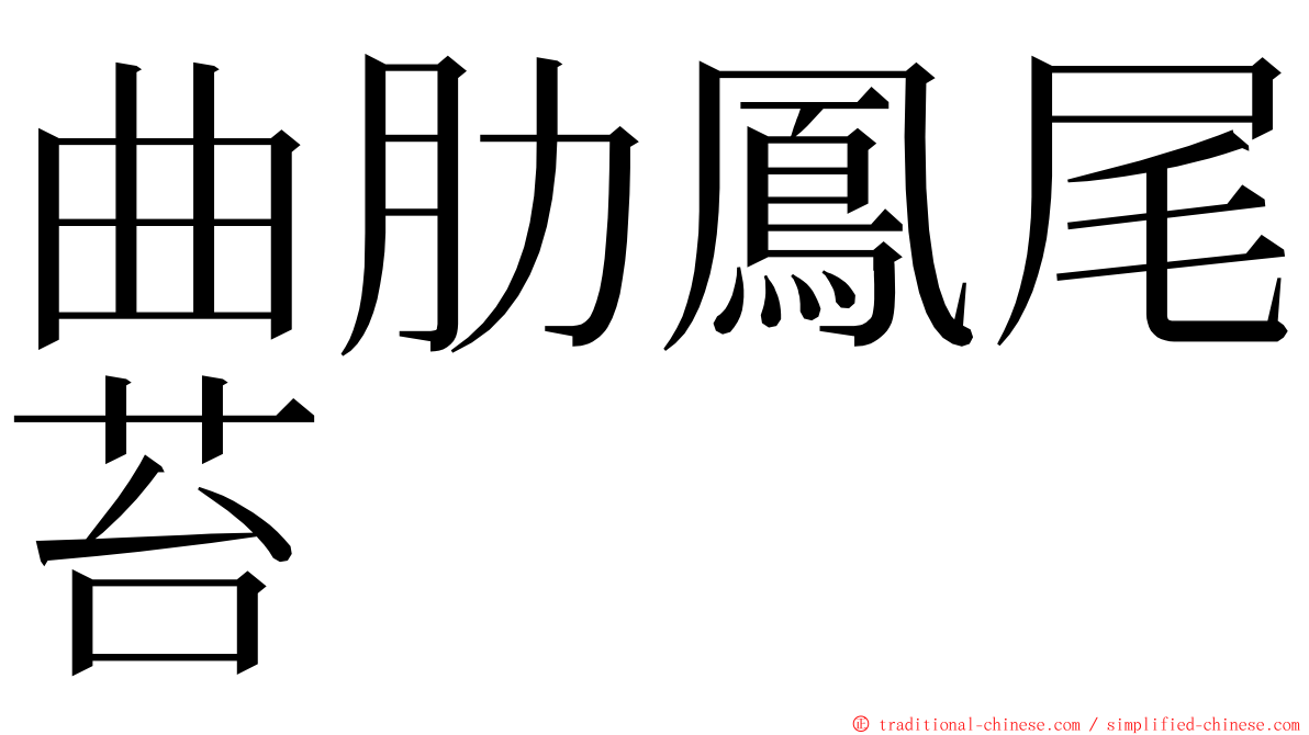 曲肋鳳尾苔 ming font