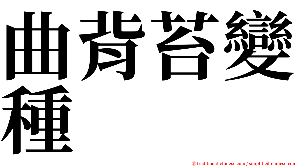 曲背苔變種 serif font