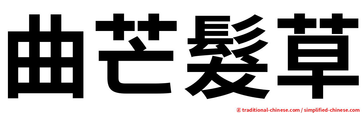 曲芒髮草