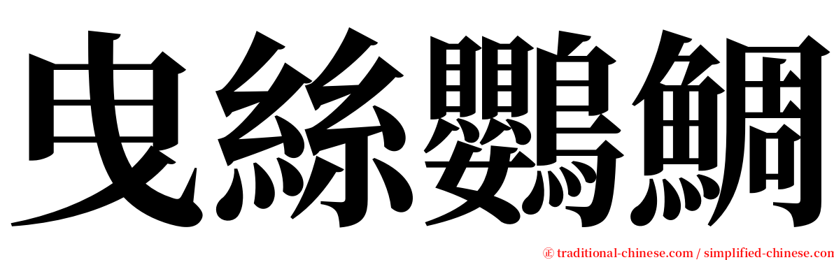 曳絲鸚鯛 serif font