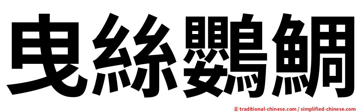 曳絲鸚鯛