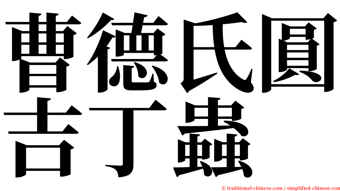 曹德氏圓吉丁蟲 serif font
