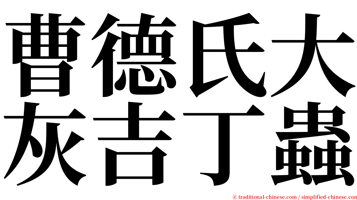 曹德氏大灰吉丁蟲 serif font