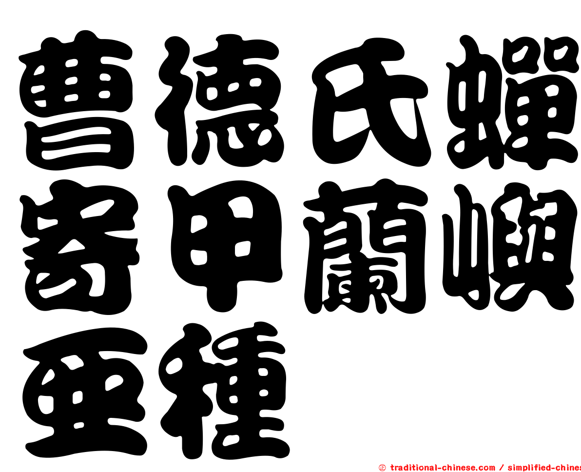 曹德氏蟬寄甲蘭嶼亞種