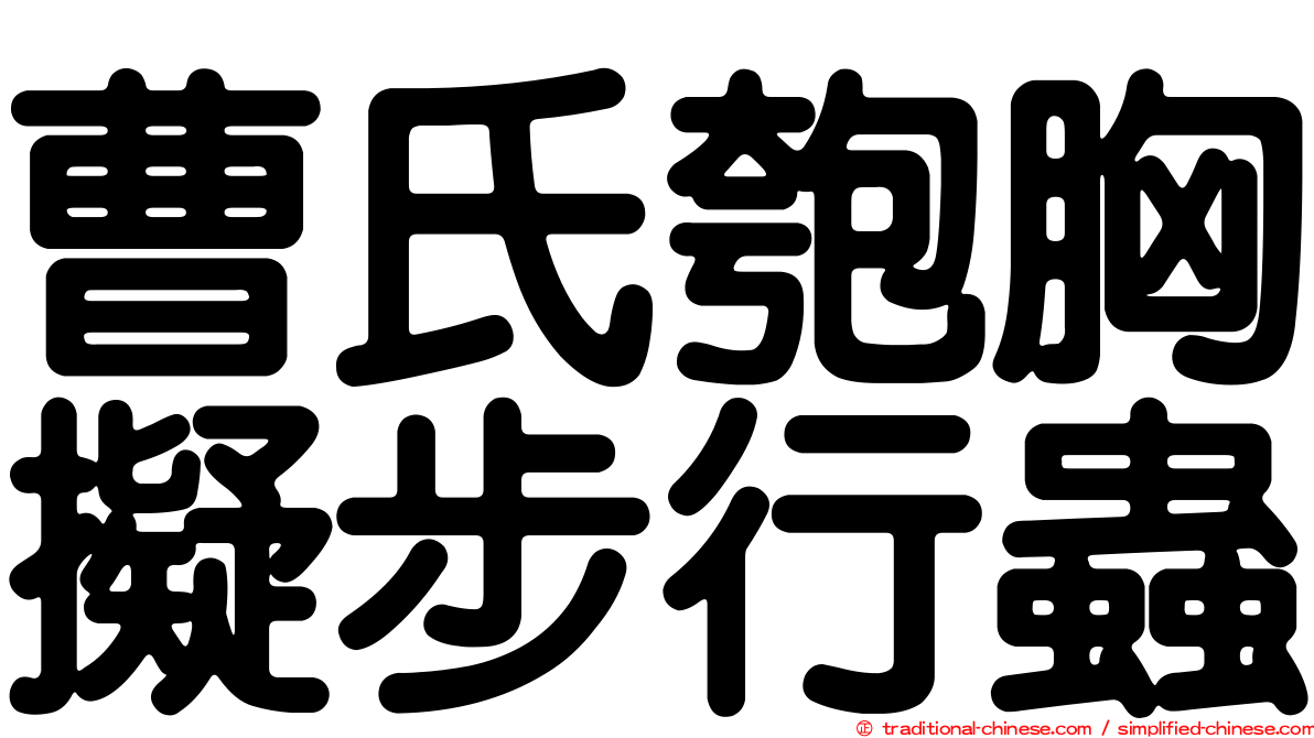 曹氏匏胸擬步行蟲