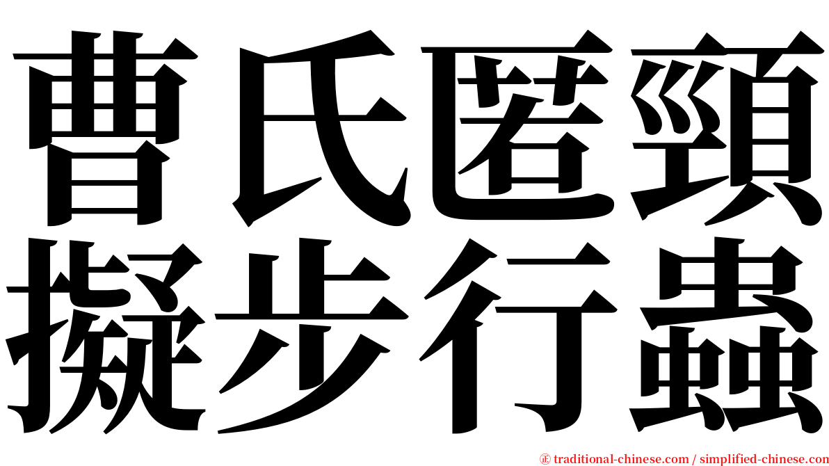 曹氏匿頸擬步行蟲 serif font