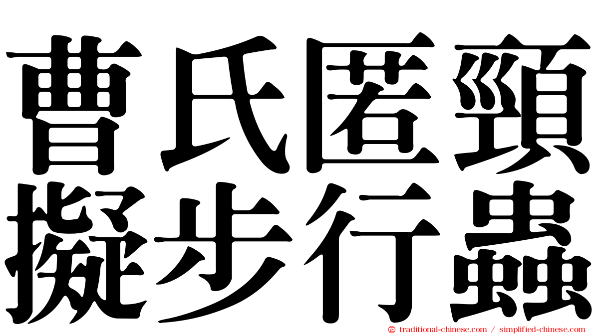 曹氏匿頸擬步行蟲