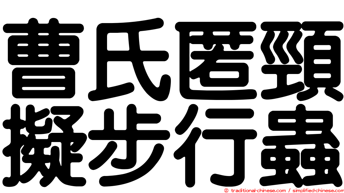 曹氏匿頸擬步行蟲