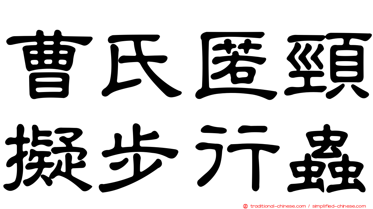 曹氏匿頸擬步行蟲