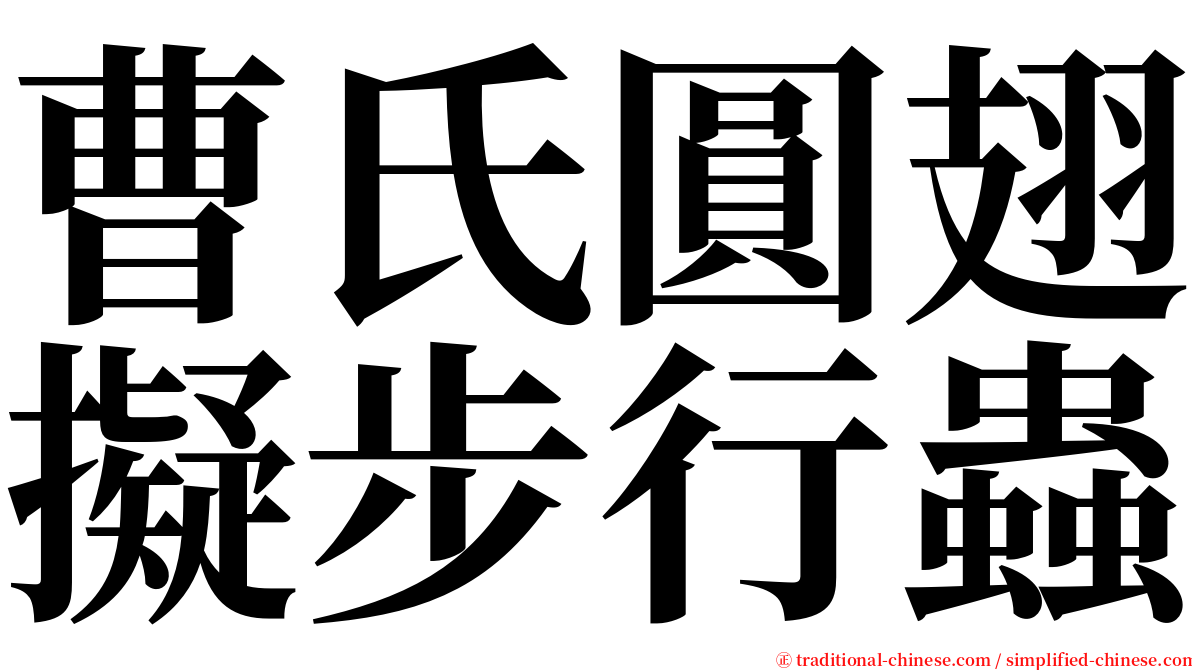 曹氏圓翅擬步行蟲 serif font