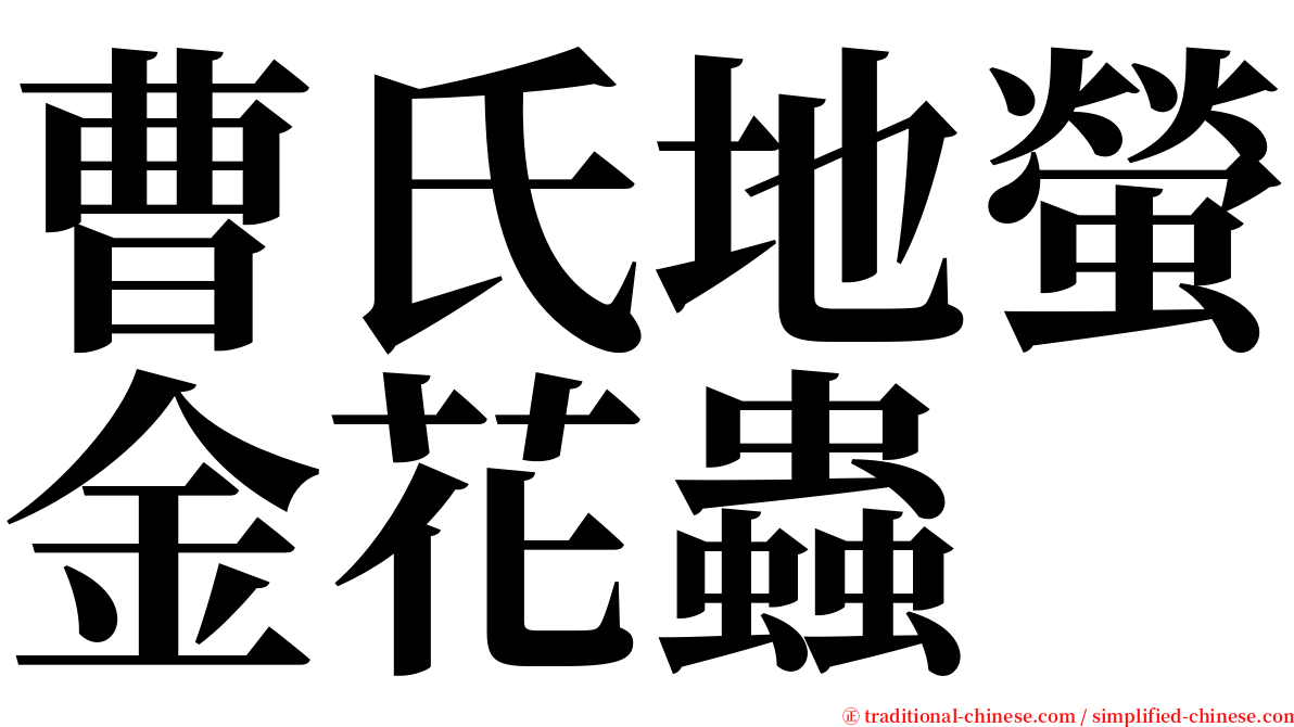 曹氏地螢金花蟲 serif font