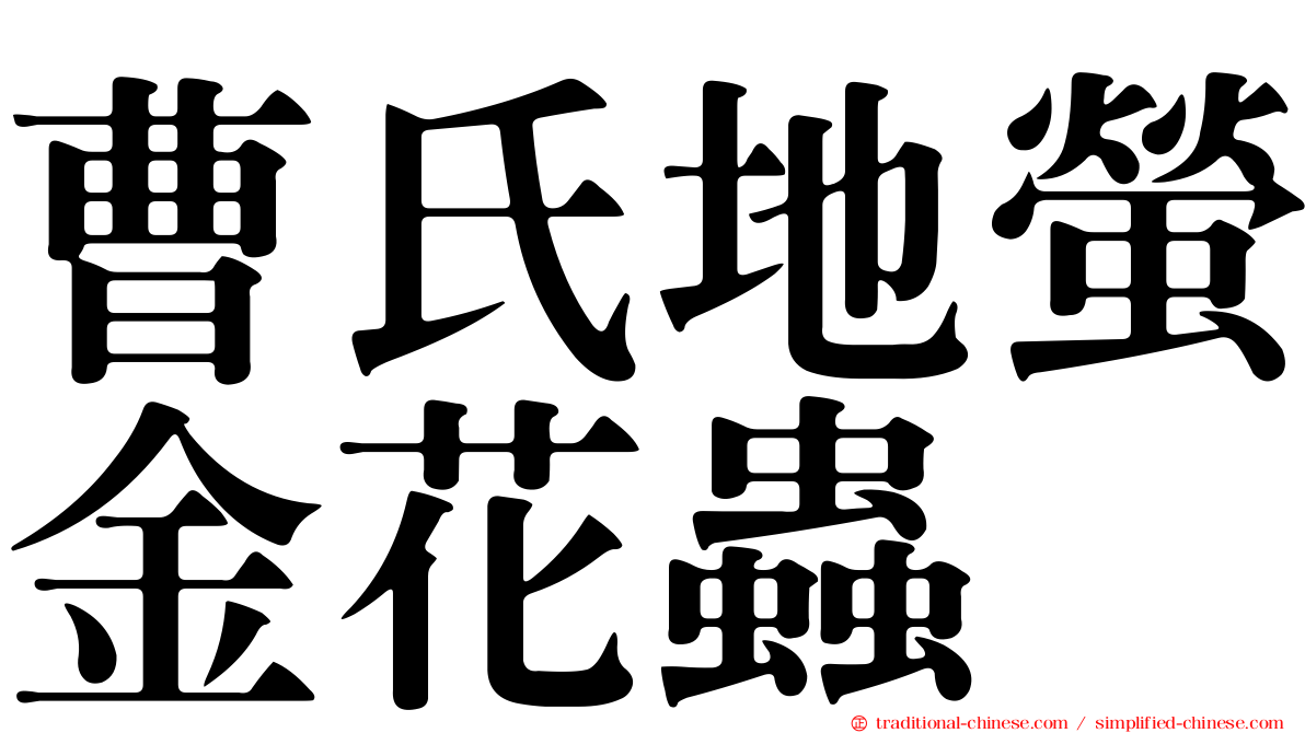 曹氏地螢金花蟲