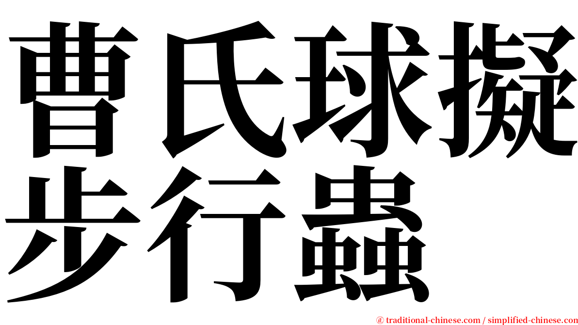 曹氏球擬步行蟲 serif font