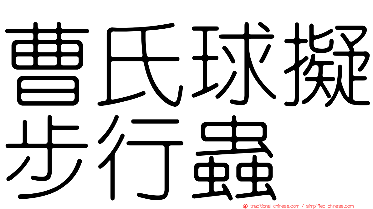 曹氏球擬步行蟲