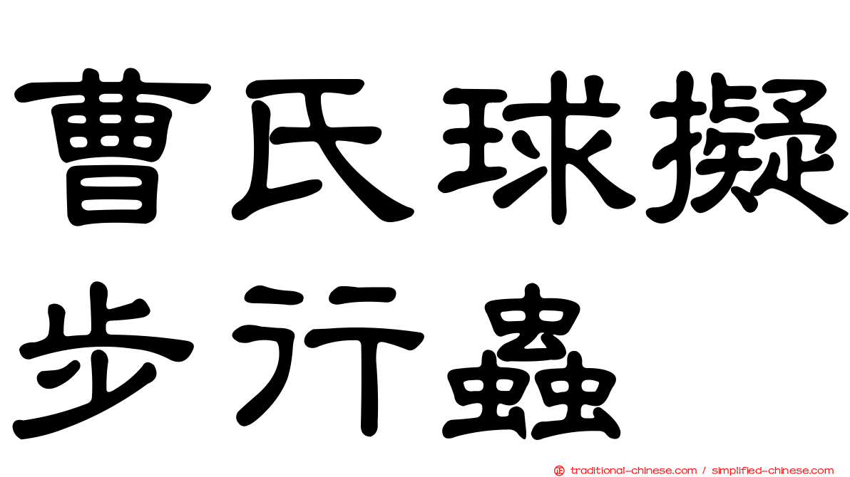 曹氏球擬步行蟲