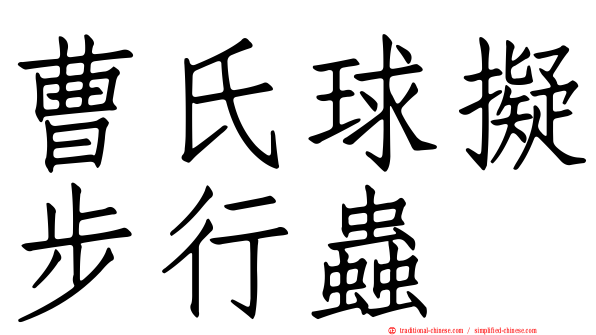 曹氏球擬步行蟲