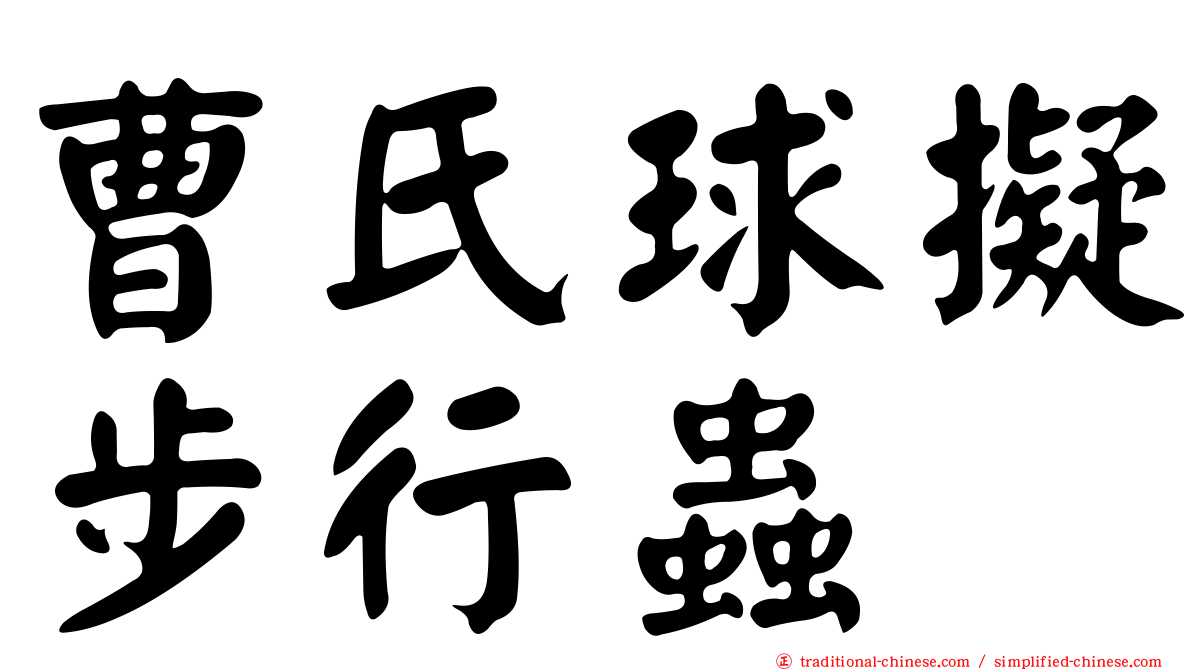 曹氏球擬步行蟲