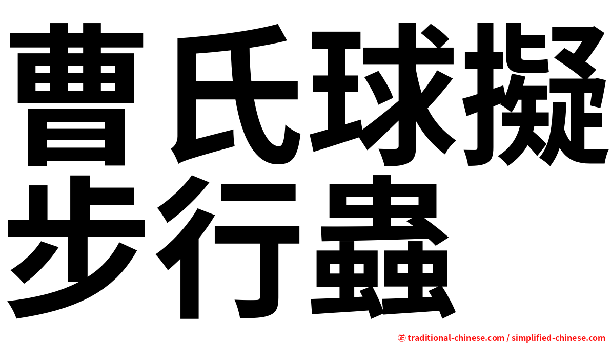 曹氏球擬步行蟲