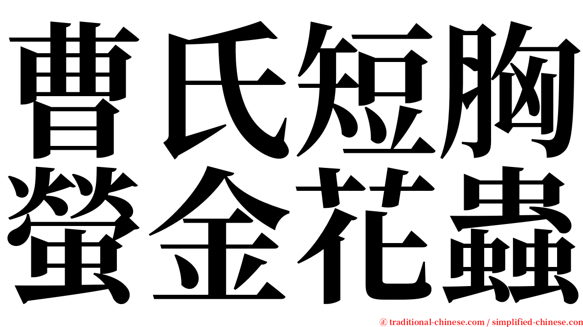 曹氏短胸螢金花蟲 serif font