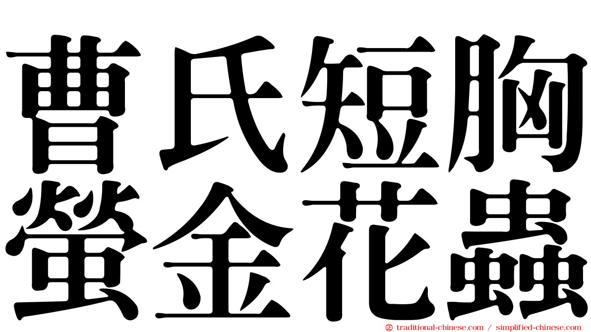 曹氏短胸螢金花蟲