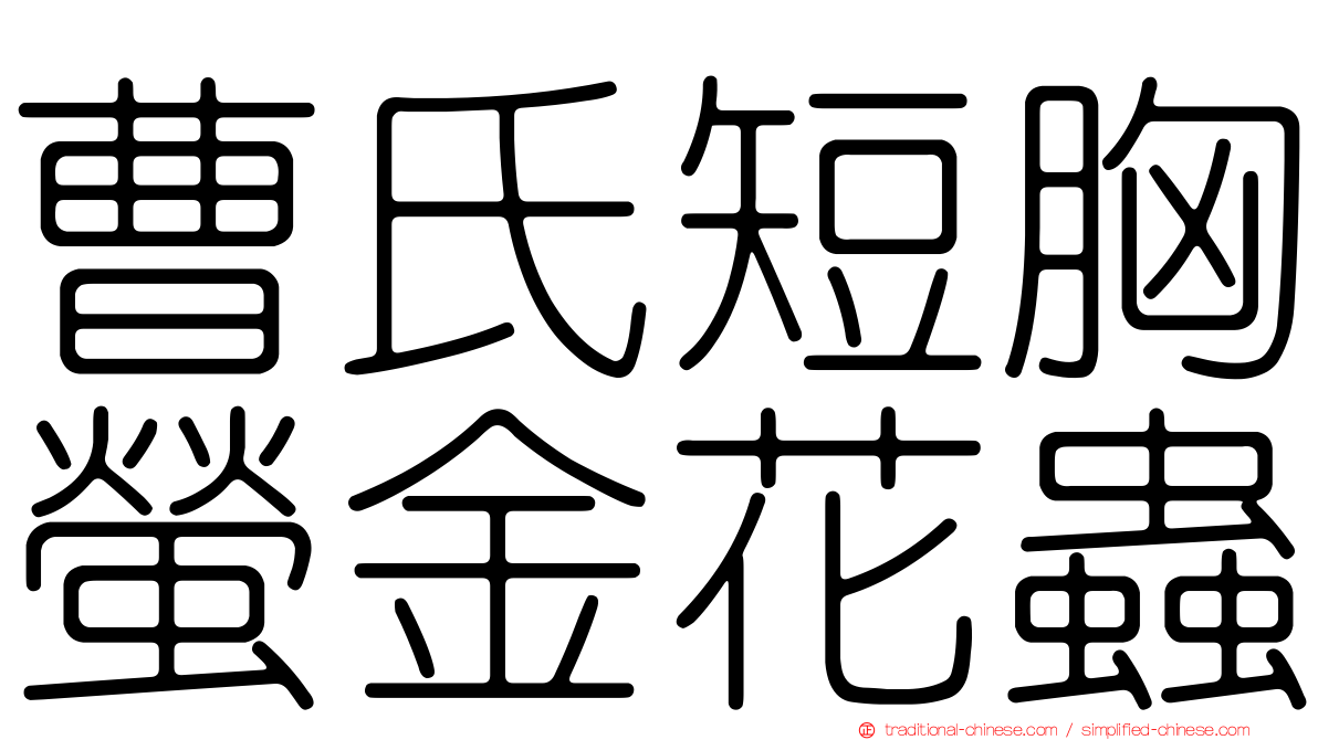 曹氏短胸螢金花蟲