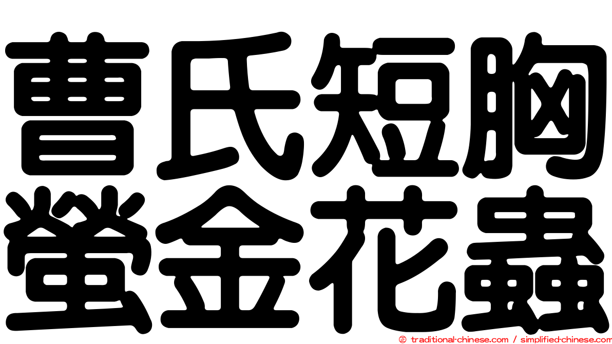 曹氏短胸螢金花蟲