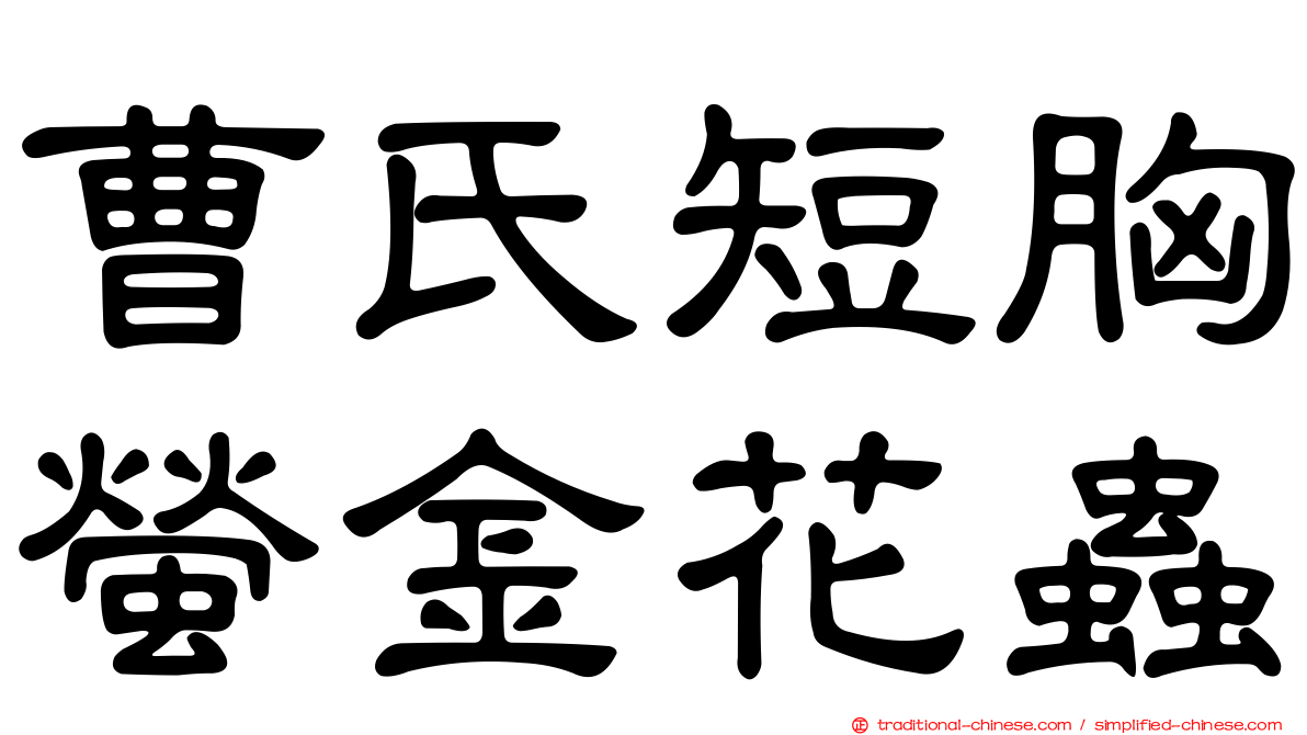 曹氏短胸螢金花蟲