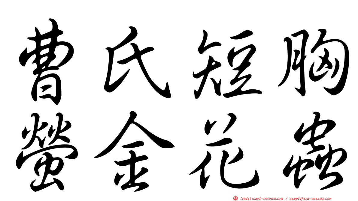 曹氏短胸螢金花蟲