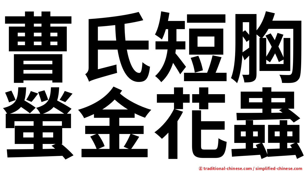 曹氏短胸螢金花蟲