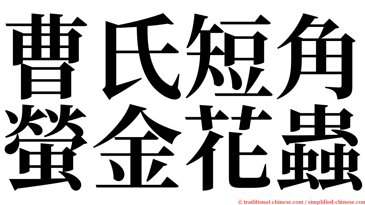 曹氏短角螢金花蟲 serif font