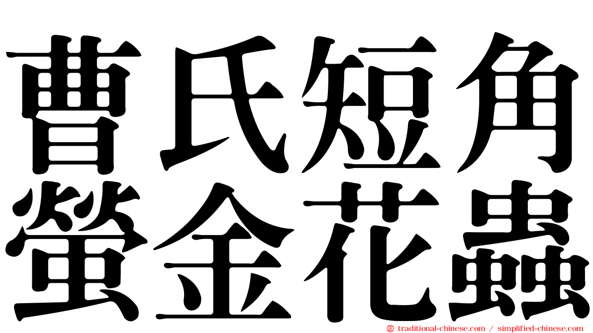 曹氏短角螢金花蟲