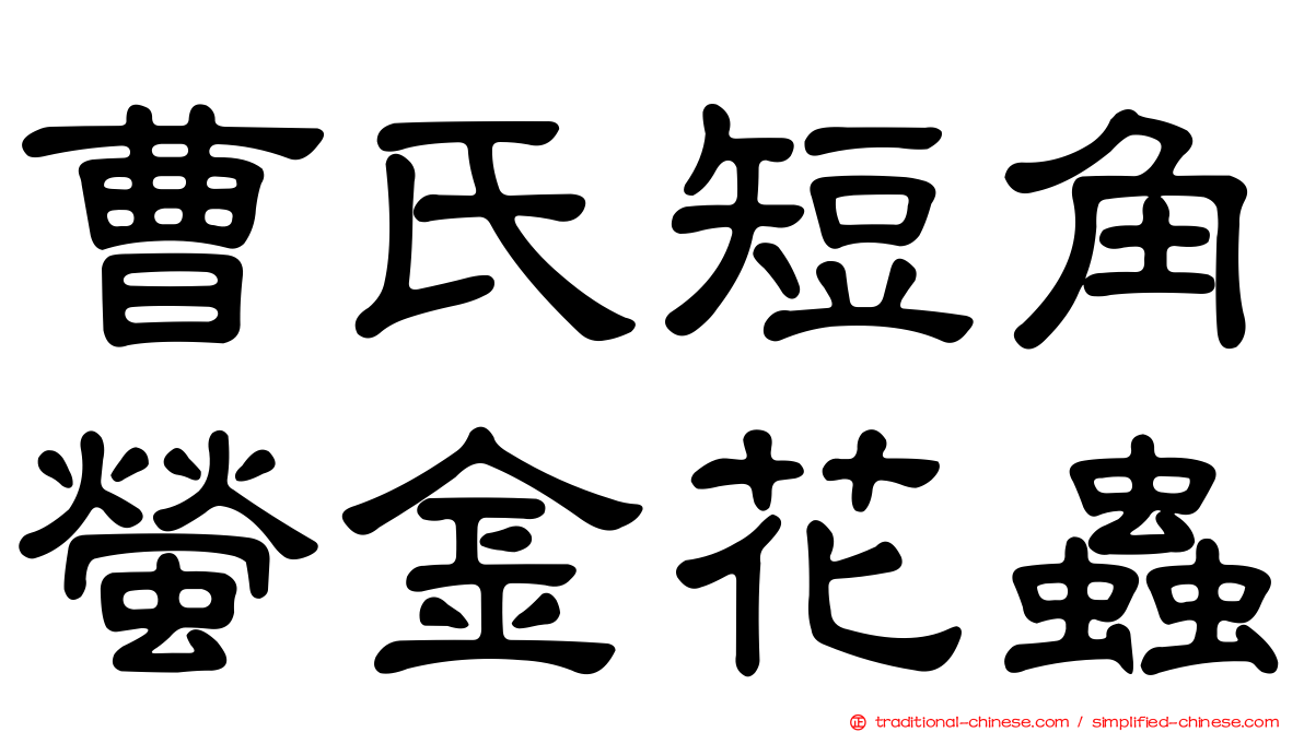 曹氏短角螢金花蟲