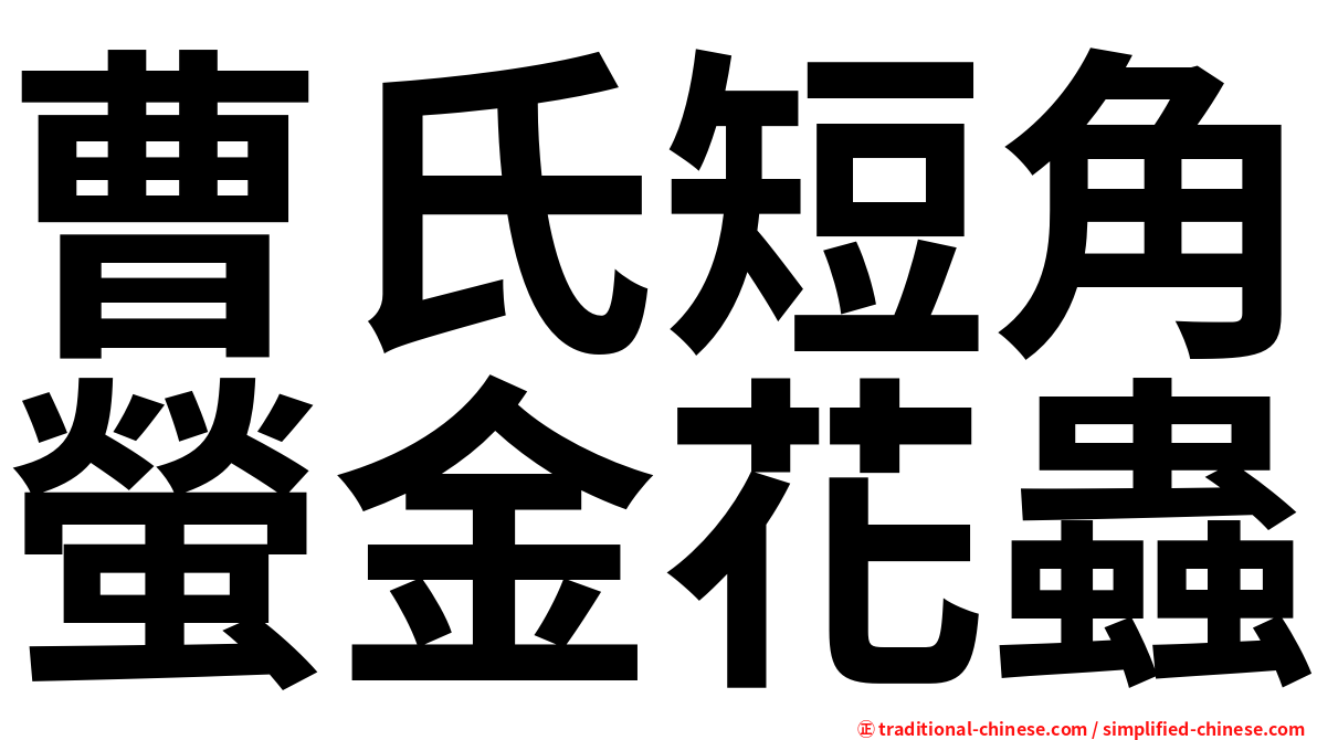 曹氏短角螢金花蟲