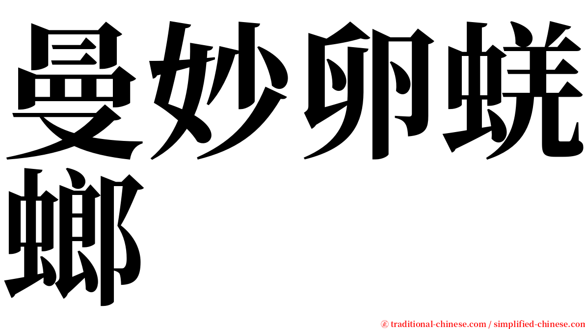 曼妙卵蜣螂 serif font