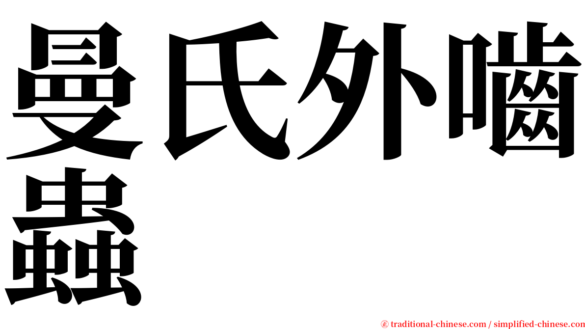 曼氏外嚙蟲 serif font